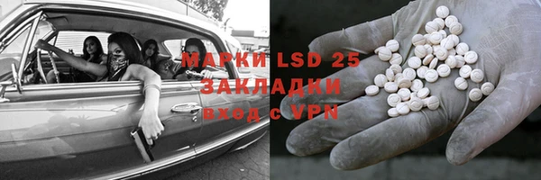 ГАЛЛЮЦИНОГЕННЫЕ ГРИБЫ Балабаново