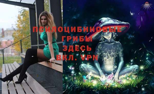 ГАЛЛЮЦИНОГЕННЫЕ ГРИБЫ Балабаново