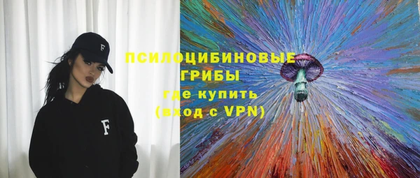 ГАЛЛЮЦИНОГЕННЫЕ ГРИБЫ Балабаново