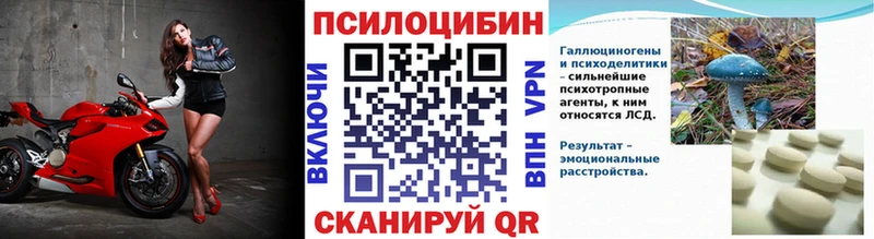 Галлюциногенные грибы мухоморы hydra tor Суоярви купить наркотики цена